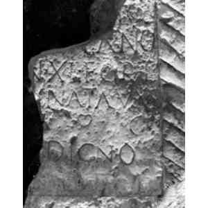 Click para ampliar. Pulsa en el nombre para ver la ficha. Epígrafe de móstoles